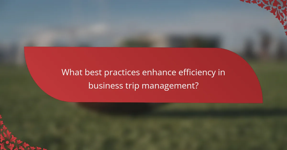 What best practices enhance efficiency in business trip management?